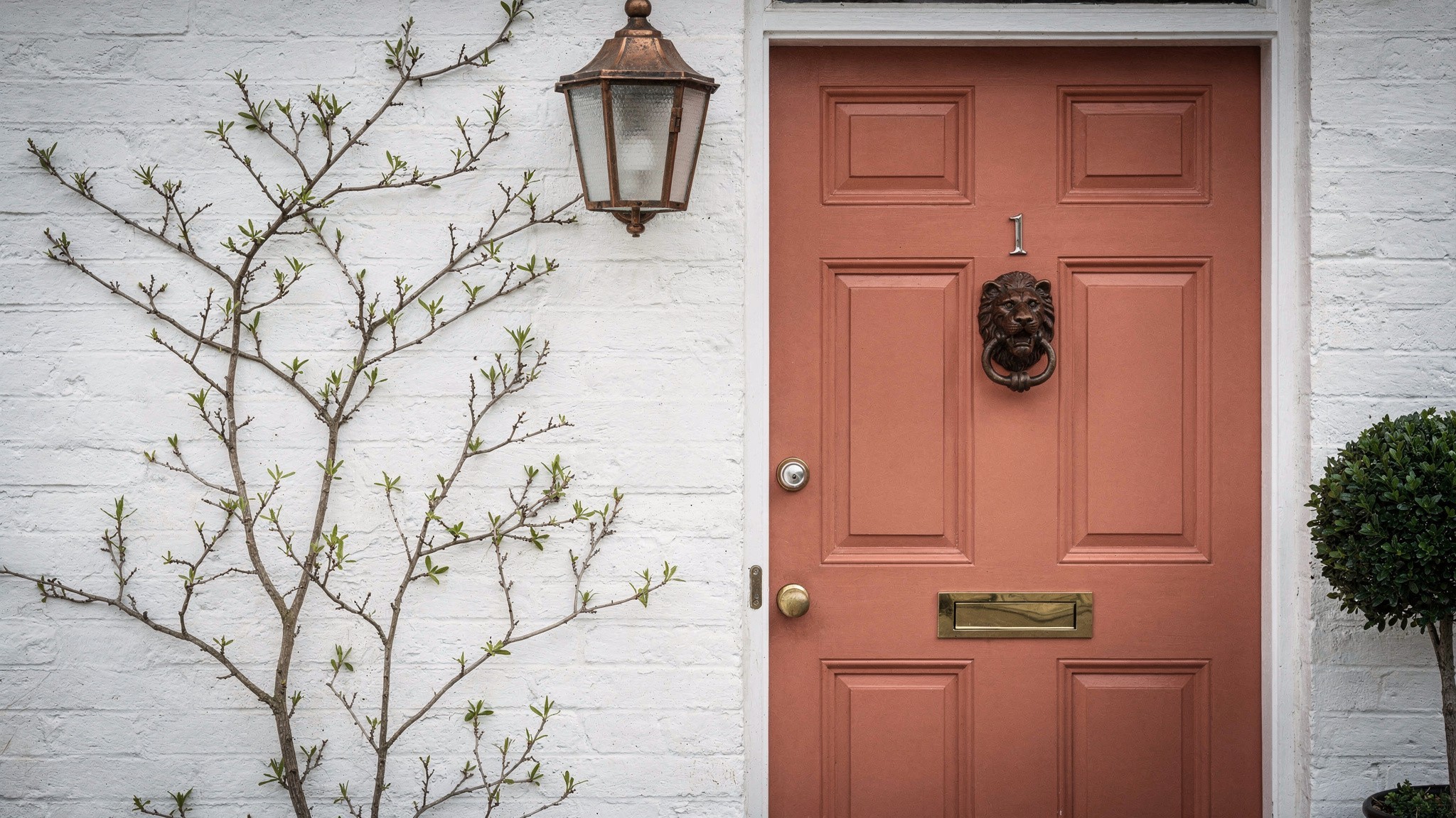 Your front door in deep forest green against pale render, brass hardware catching afternoon light