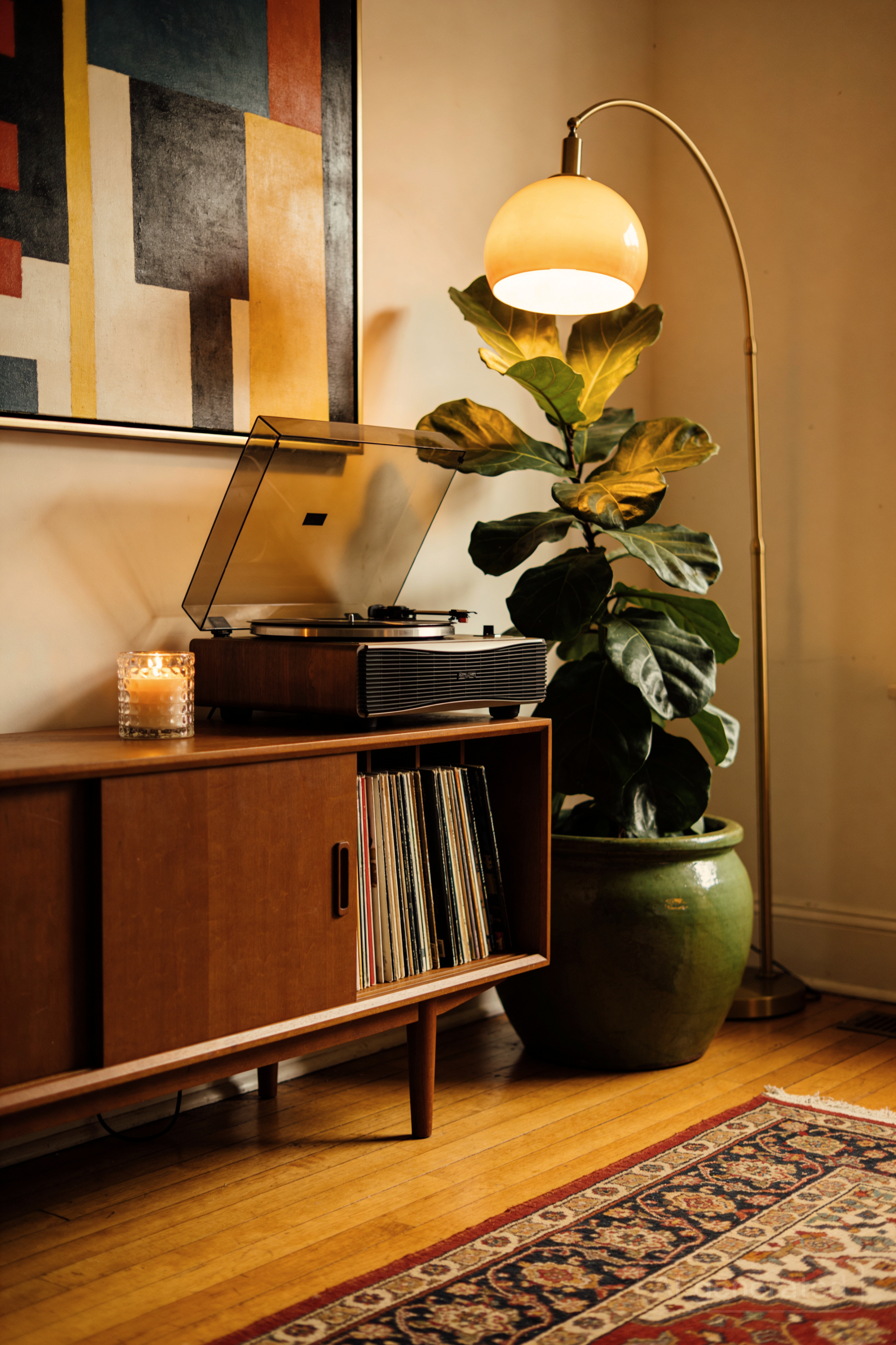 Your living room with a large monstera plant in bright indirect light beside a window
